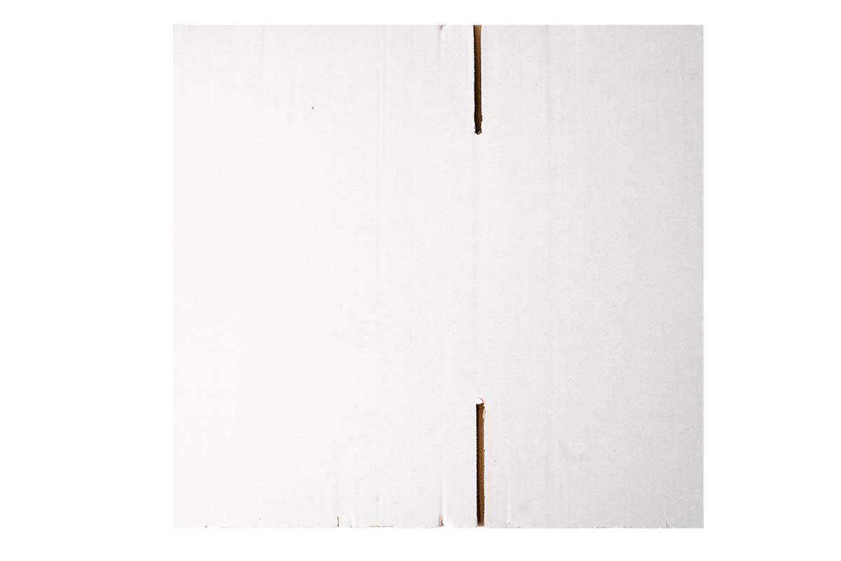 Kartonnen doos wit - 305 x 220 x 250mm (enkele golf)