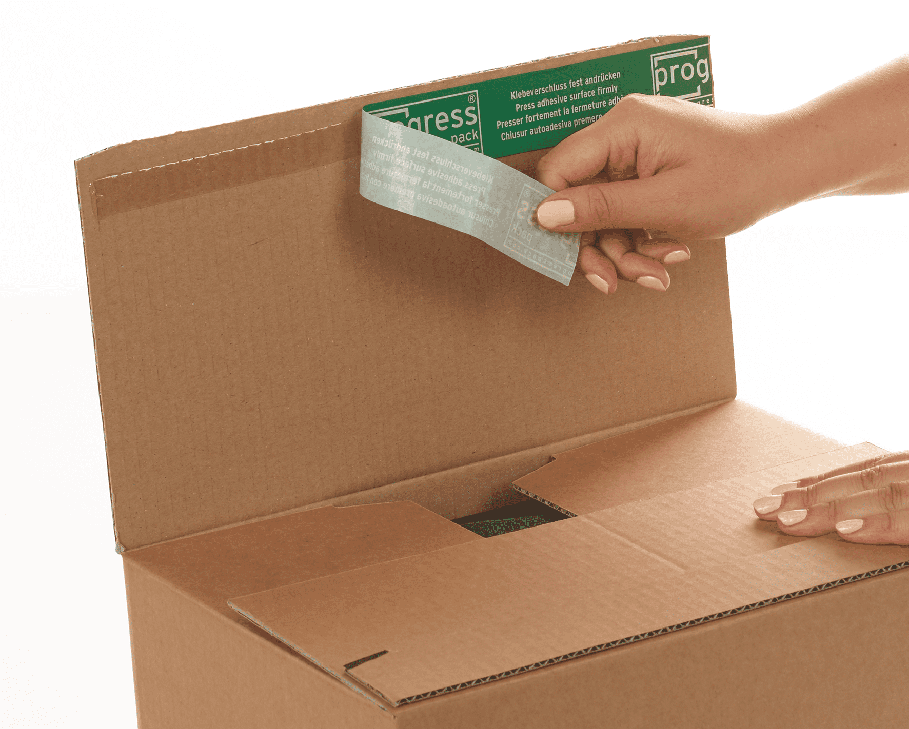 Speedbox autolock retour dozen - 310 x 230 x 110mm