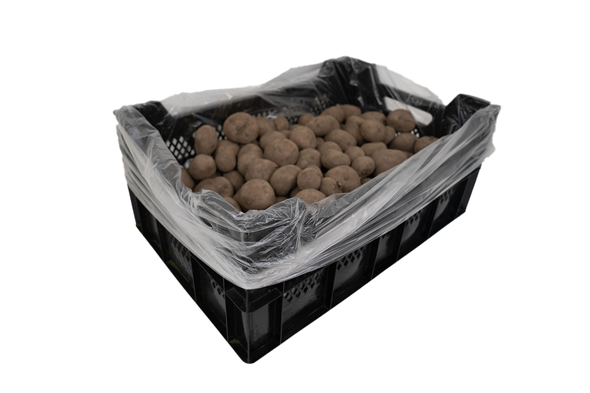 LDPE kratzakken transparant - 60 x 20/20 x 80cm x 20my (500 st) LDPE kratzakken transparant - 60 x 20/20 x 80cm x 20my (500 st)