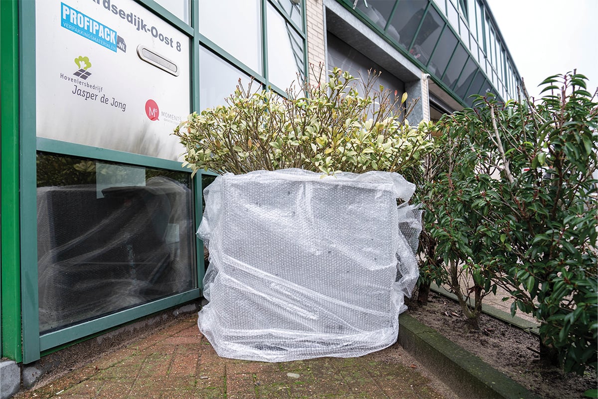 Planten beschermen tegen vorst met noppenfolie