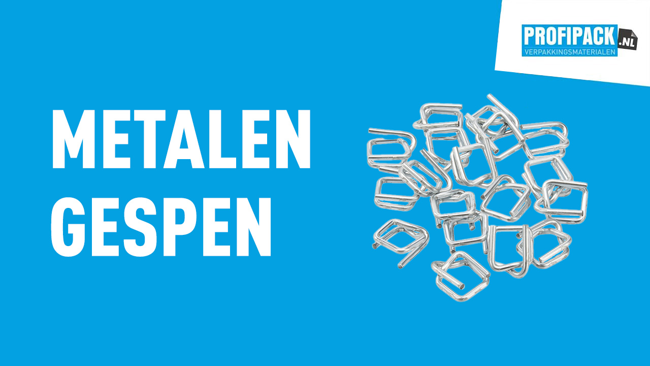 Metalen gespen B8 - 25mm (125 st)