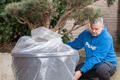 Planten beschermen tegen vorst met noppenfolie